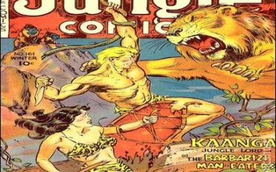 Not For Profit Strategy: Staying Relevant in the NFP Wilderness