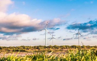 How to get started with corporate sustainability