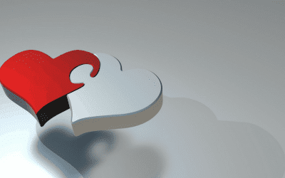 Spotlight on social business: Hearty insights on fundraising trends and mutually beneficial partnerships