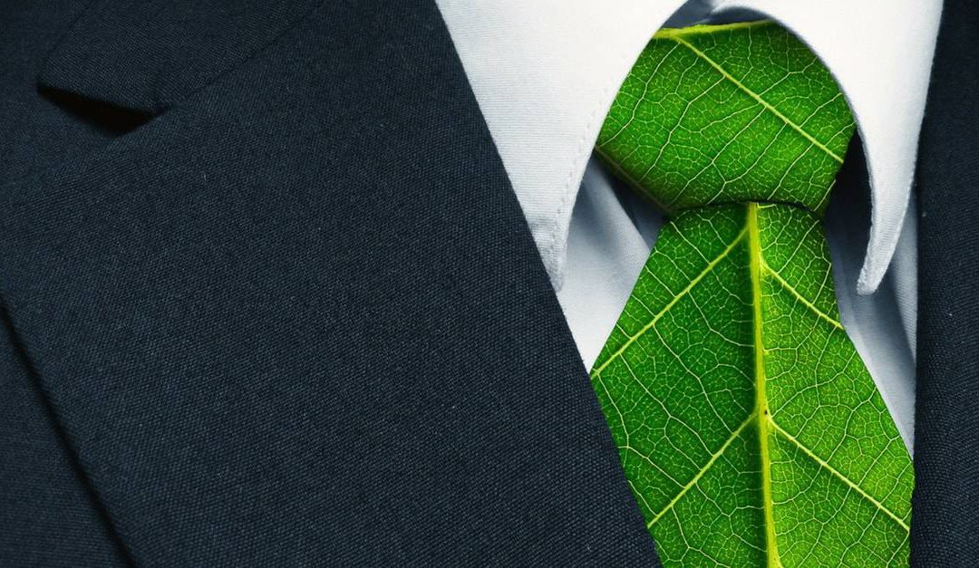 Our top 7 findings for successfully engaging employees on environmental sustainability