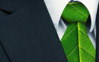 Our top 7 findings for successfully engaging employees on environmental sustainability