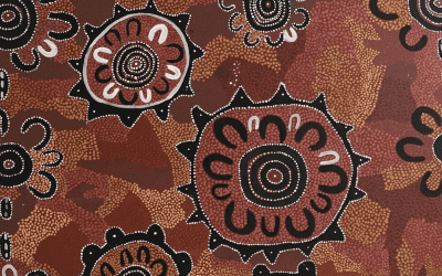 The amazing world of NPY Women’s Council: Reflections on a week’s work in Alice Springs