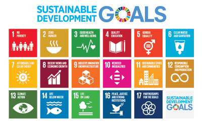 Our guide to incorporating the SDGs: Moving from theory to action