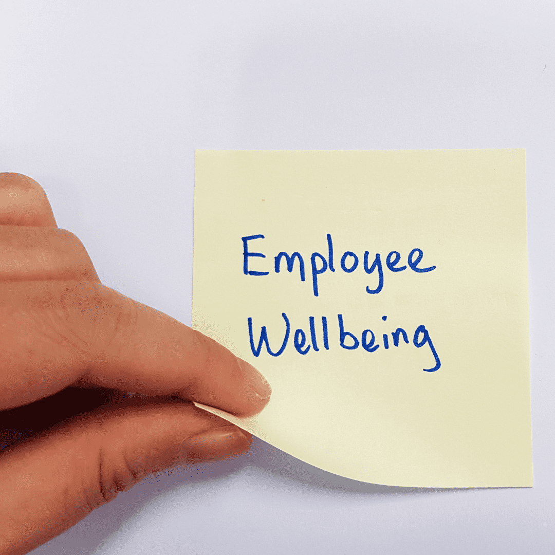 The Wellbeing Informed Operating Model 