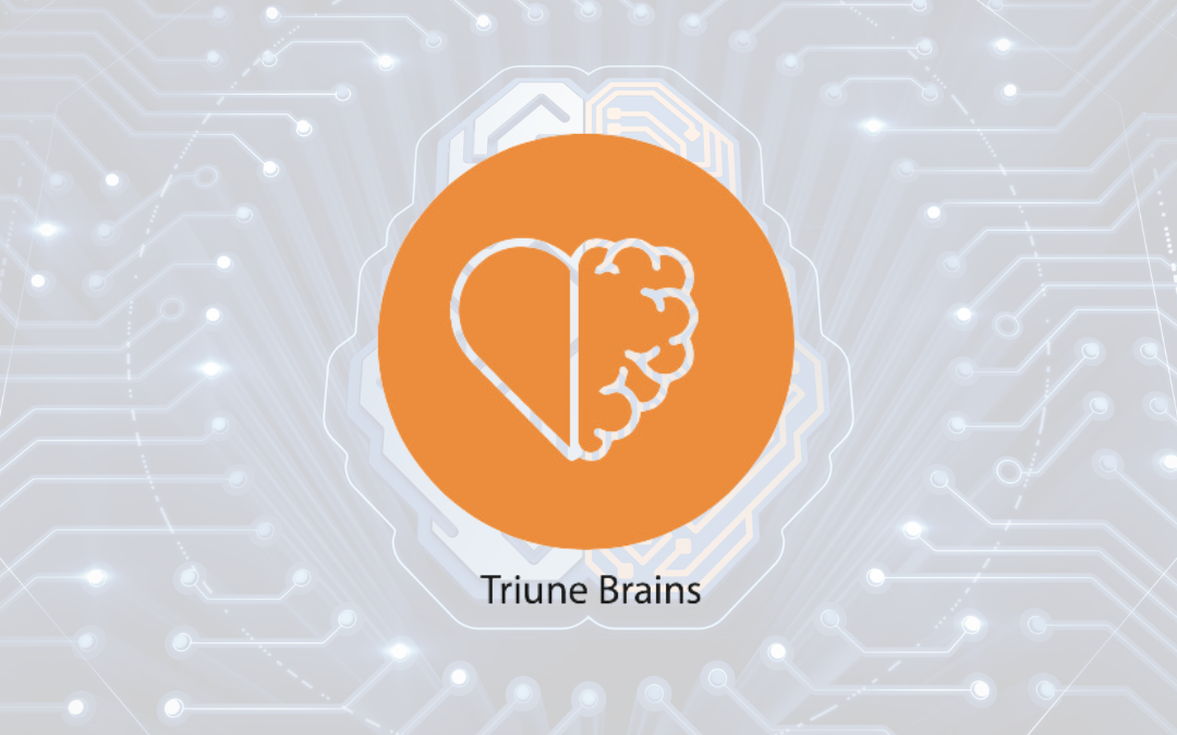 Spark 9 – How to think more strategically: Triune Brains: Insights