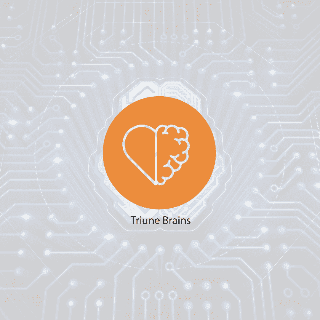 How to think more strategically: Triune Brains