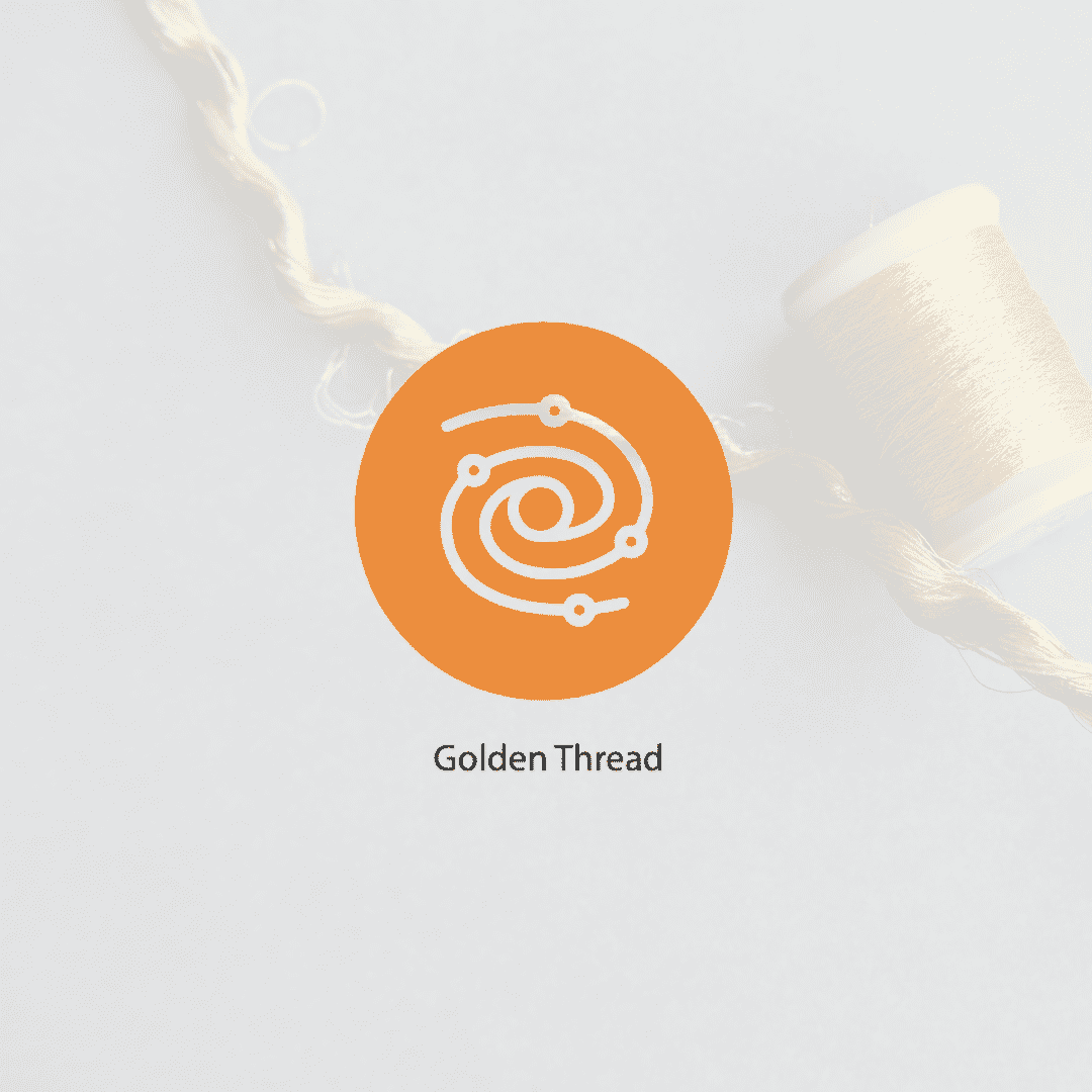Spark 3 - How to think more strategically: Golden Thread: Insights