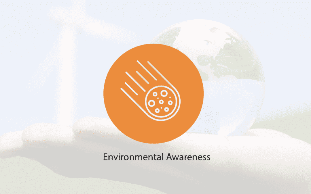 Spark 21 – How to think more strategically: Environmental Awareness: Insights 