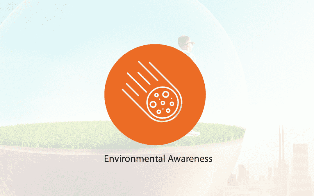 Spark 21 – Think more strategically: Environmental Awareness: Example