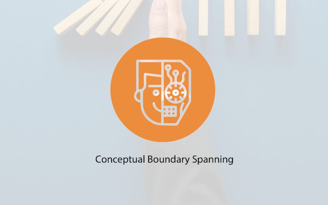 Spark 24 – How to think more strategically: Conceptual Boundary Spanning: Insights