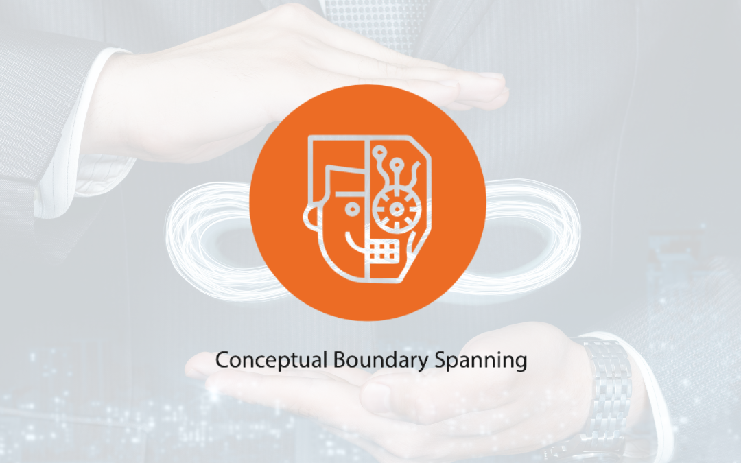 Spark 24 – Think more strategically: Conceptual Boundary Spanning: Example