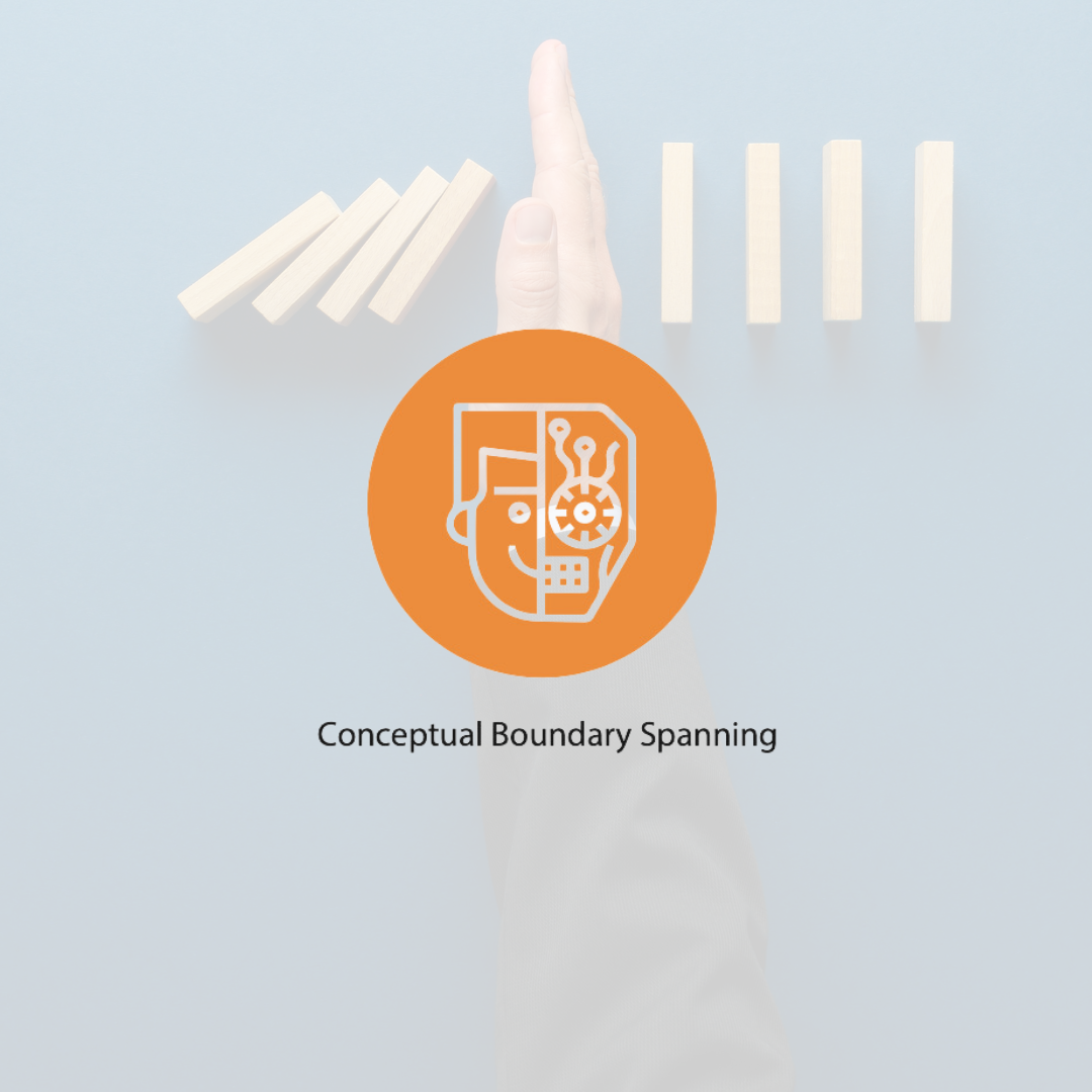 image 17 spark-24-how-to-think-more-strategically-conceptual-boundary-spanning