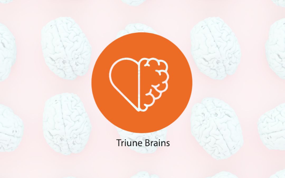 Spark 9 – How to think more strategically: Triune Brains: Example